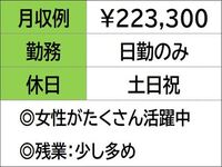 ¨��̳OK�Ǥ���