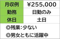 ���ҡ������ڤ˿��츫�ؤ��Ƥ���������