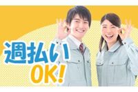 シーデーピージャパン株式会社の画像
