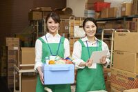 ������ҥץ饤��β���